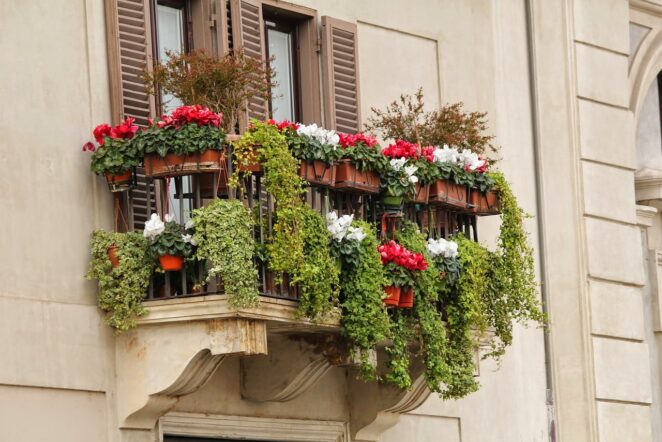 Urban Gardening: Wie Stadtbewohner ihr eigenes Grün schaffen können